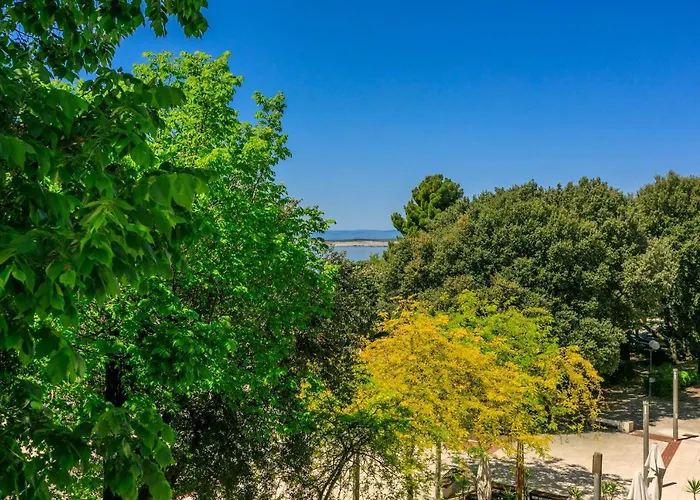 Apartament House House *